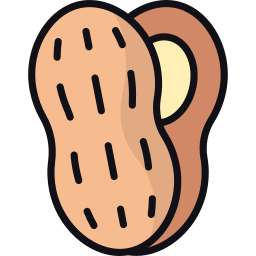 Peanut icon