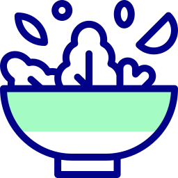 Salad icon