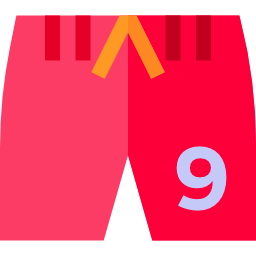 Shorts icon