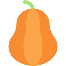 Butternut squash icon