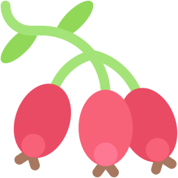 Berries icon