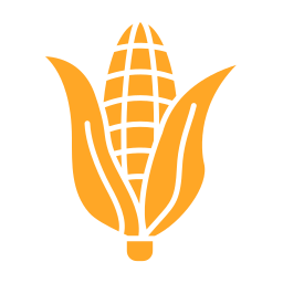 Corn icon