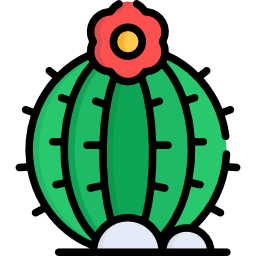 kaktus icon