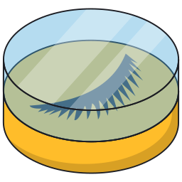 Eyelashes icon