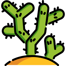 cactus icoon