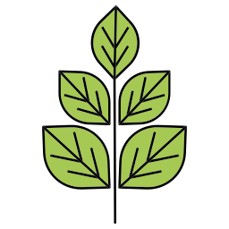 Leaf icon