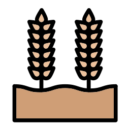 Wheat grain icon