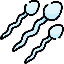 sperma icon