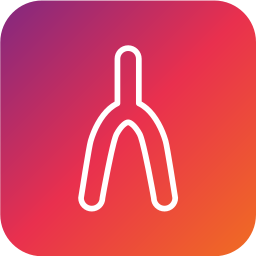 wishbone icon