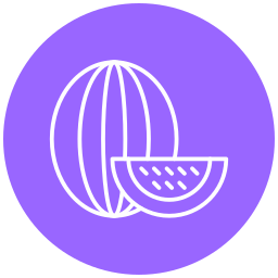 Watermelon icon