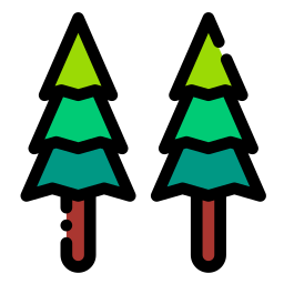 Pine icon