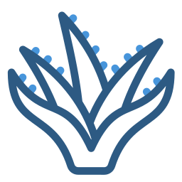 Aloe Vera icon