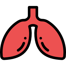 Liver icon