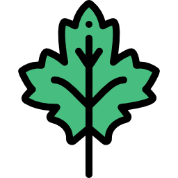 Leaf icon