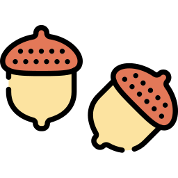 Acorn icon