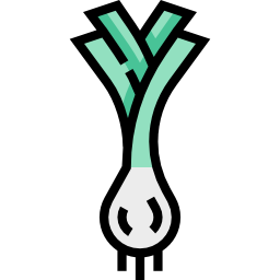 Leek icon