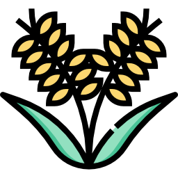 Rice icon