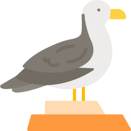 Seagull icon