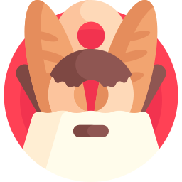 Bag icon