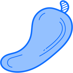 Chilli pepper icon