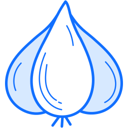 Garlic icon