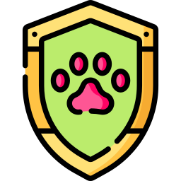 shield icon