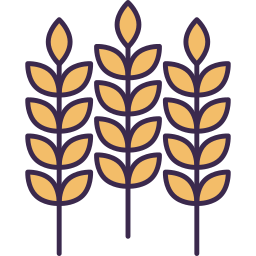 Wheat icon