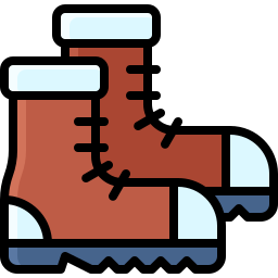 Shoes icon