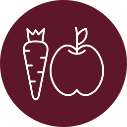 Healthy Food icon