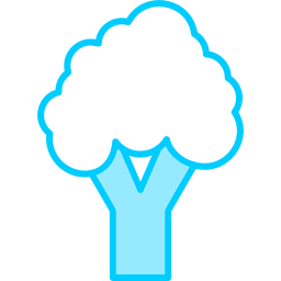 Broccoli icon