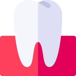 Molar  icon