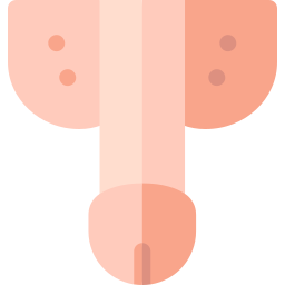 penis icon