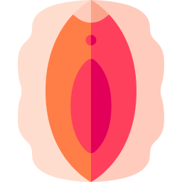 vagina icon