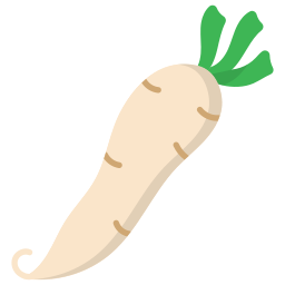 daikon Ícone