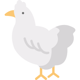 frango Ícone