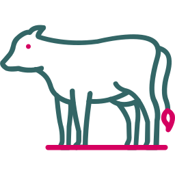 Cow icon