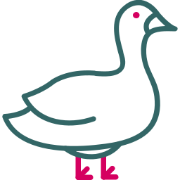 Goose icon