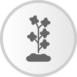 pflanze icon