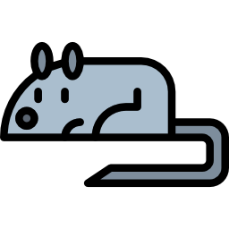 maus icon