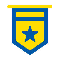 Pennant icon