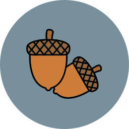 Acorn icon