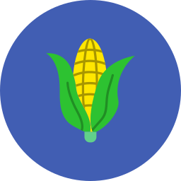 Corn icon