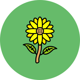 Sunflower icon