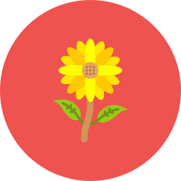 sonnenblume icon