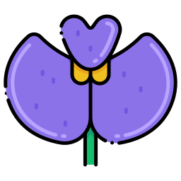 Orchid icon