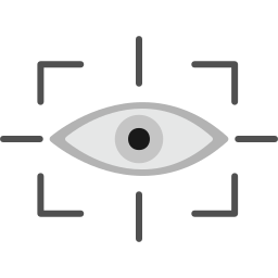 Vision icon