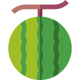 Watermelon icon