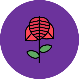 anthurium icon