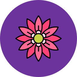 amaryllis icon