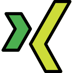 Xing icon